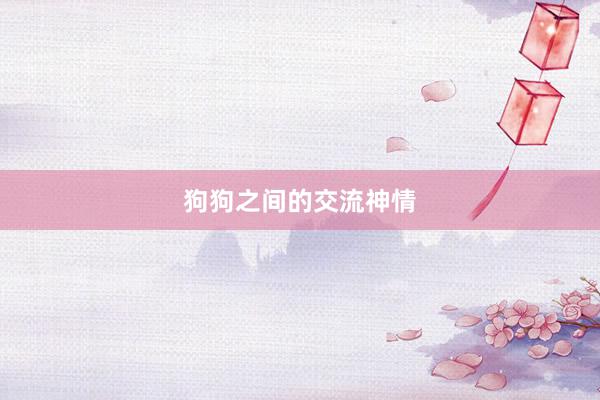 狗狗之间的交流神情
